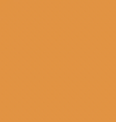 YR213/YR180 SQUASH ORANGE