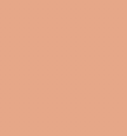 Yellow Red Ohuhu Honolulu B Brush/Fine / Chisel Tip  Single Color | Sold by The Marker Monster