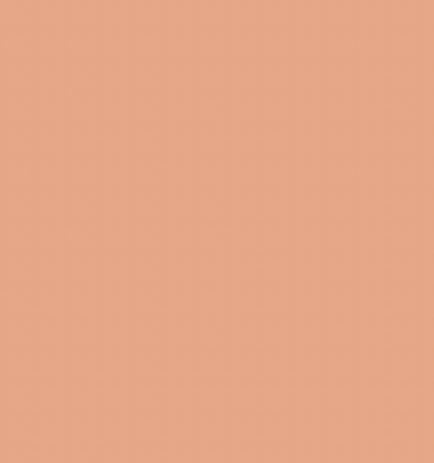 YR39/BR3 CINNAMON