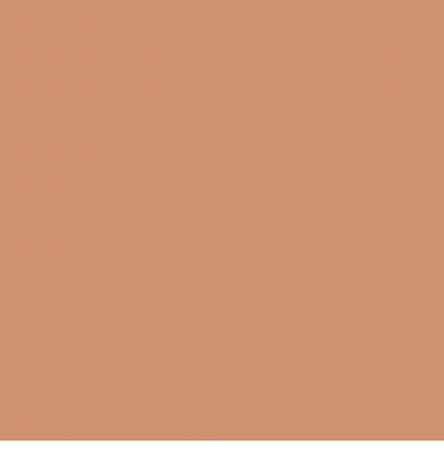YR312/E110 LIGHT EARTH BROWN