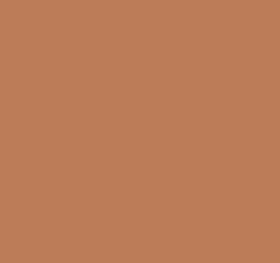 YR313/BR2 POTATO BROWN