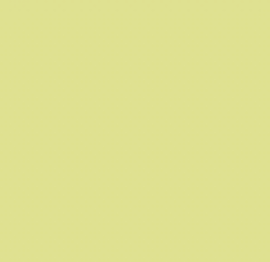 YG07/G050 HONEY DEW MELON