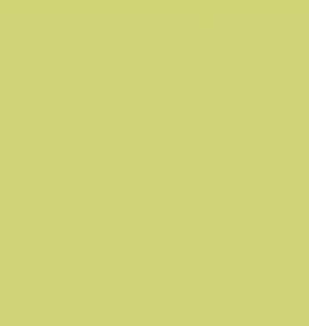 YG012/GY4 YELLOW GREEN