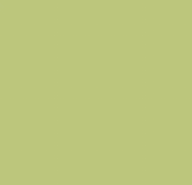 YG29/G260 APPLE GREEN BRUSH/CHISEL