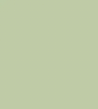 YG36/G240 BEIGE GREEN