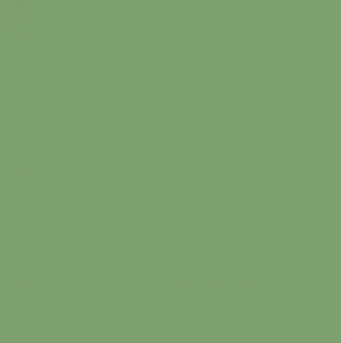 YG413/G470 FERN GREEN