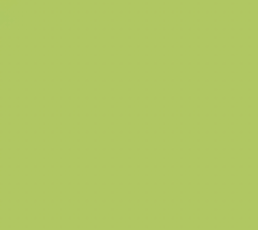 YG510/GY3 BUD GREEN BRUSH/CHISEL