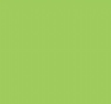 YG610/G170 BRIGHT LIME