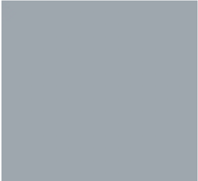 CG18/CGII04 ICY GREY Brush/Fine