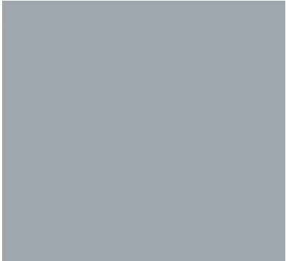 CG18/CGII04 ICY GREY Brush/Fine