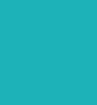 BG011/G500 TEAL