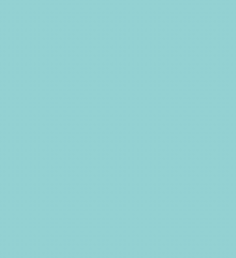 BG19/G324 SEA BLUE