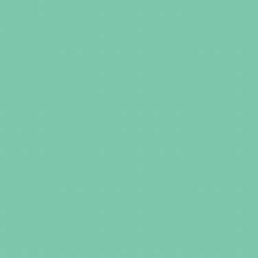 BG211/G360 SPEARMINT