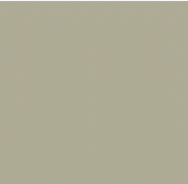 Earth Tones Ohuhu Honolulu B Brush/Fine / Chisel Tip  Single Color | Sold by The Marker Monster