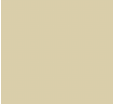 Earth Tones Ohuhu Honolulu B Brush/Fine / Chisel Tip  Single Color | Sold by The Marker Monster