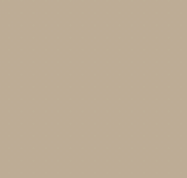 Earth Tones Ohuhu Honolulu B Brush/Fine / Chisel Tip  Single Color | Sold by The Marker Monster