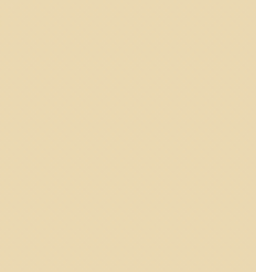 Earth Tones Ohuhu Honolulu B Brush/Fine / Chisel Tip  Single Color | Sold by The Marker Monster