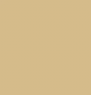 Earth Tones Ohuhu Honolulu B Brush/Fine / Chisel Tip  Single Color | Sold by The Marker Monster
