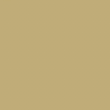 Earth Tones Ohuhu Honolulu B Brush/Fine / Chisel Tip  Single Color | Sold by The Marker Monster