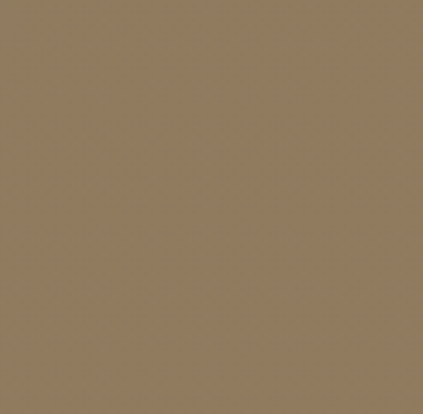 Earth Tones Ohuhu Honolulu B Brush/Fine / Chisel Tip  Single Color | Sold by The Marker Monster