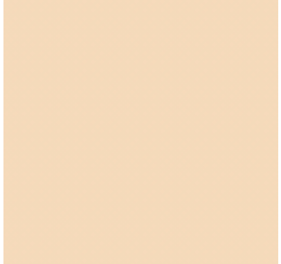 Earth Tones Ohuhu Honolulu B Brush/Fine / Chisel Tip  Single Color | Sold by The Marker Monster