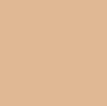 Earth Tones Ohuhu Honolulu B Brush/Fine / Chisel Tip  Single Color | Sold by The Marker Monster