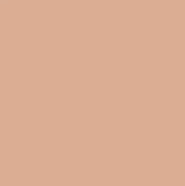 Earth Tones Ohuhu Honolulu B Brush/Fine / Chisel Tip  Single Color | Sold by The Marker Monster