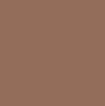 Earth Tones Ohuhu Honolulu B Brush/Fine / Chisel Tip  Single Color | Sold by The Marker Monster