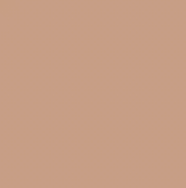 Earth Tones Ohuhu Honolulu B Brush/Fine / Chisel Tip  Single Color | Sold by The Marker Monster