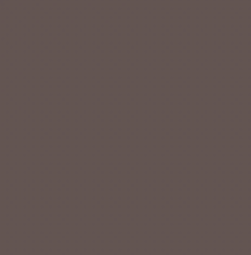 Earth Tones Ohuhu Honolulu B Brush/Fine / Chisel Tip  Single Color | Sold by The Marker Monster