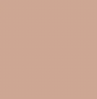 Earth Tones Ohuhu Honolulu B Brush/Fine / Chisel Tip  Single Color | Sold by The Marker Monster