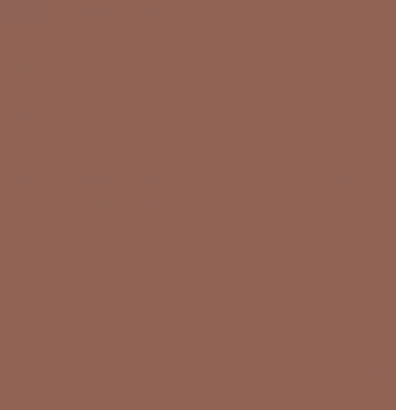 Earth Tones Ohuhu Honolulu B Brush/Fine / Chisel Tip  Single Color | Sold by The Marker Monster