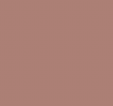 Earth Tones Ohuhu Honolulu B Brush/Fine / Chisel Tip  Single Color | Sold by The Marker Monster