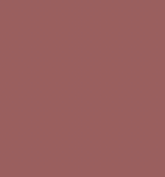 Earth Tones Ohuhu Honolulu B Brush/Fine / Chisel Tip  Single Color | Sold by The Marker Monster