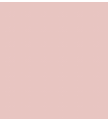 Earth Tones Ohuhu Honolulu B Brush/Fine / Chisel Tip  Single Color | Sold by The Marker Monster