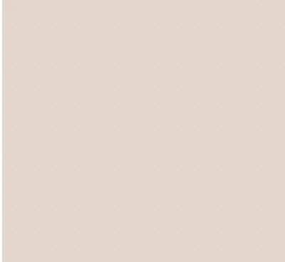 Earth Tones Ohuhu Honolulu B Brush/Fine / Chisel Tip  Single Color | Sold by The Marker Monster