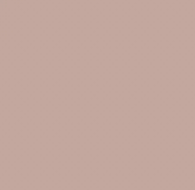 Earth Tones Ohuhu Honolulu B Brush/Fine / Chisel Tip  Single Color | Sold by The Marker Monster