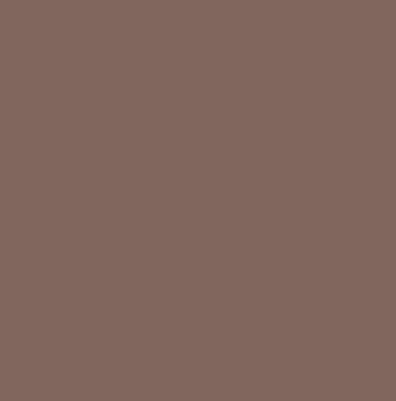 Earth Tones Ohuhu Honolulu B Brush/Fine / Chisel Tip  Single Color | Sold by The Marker Monster