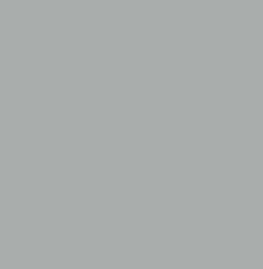 CG25/NG03 DEEP GREY Brush/Fine