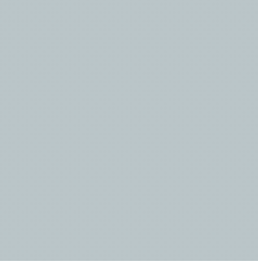 BGY02/BG9 PIGEON GREY Brush/Fine
